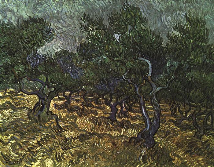 Vincent Van Gogh The Olive Grove Spain oil painting art
